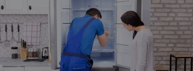 Ремонт холодильников Luxeon